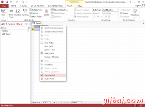 Screenshot of Microsoft Access 2013