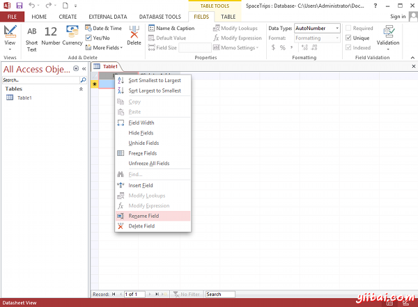 Creating a database table in MS Access 2013 - step 1