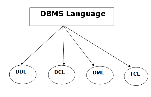 DBMS数据库语言